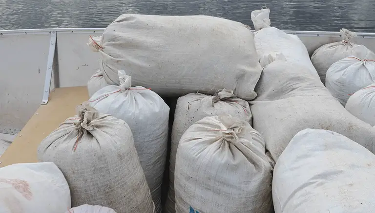 sustainable wild rice | Picture of bags of wild rice sitting on the boat - Origins Wild Rice Co.